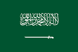 Saudi Visit Visa for Pakistanis Fees & Steps